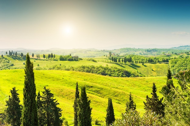 Colinas verdes en Toscana, Italia. Hermoso paisaje de verano.