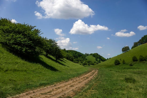 Colinas de Zagajica en Serbia, hermoso paisaje en un día de verano