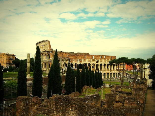 Coliseo por los árboles contra el cielo en la ciudad