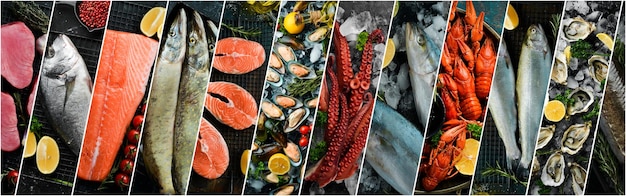 Collage aus Fotos von Meeresfrüchten Frischer Fisch und Meeresfrüchte Das Konzept der gesunden Ernährung