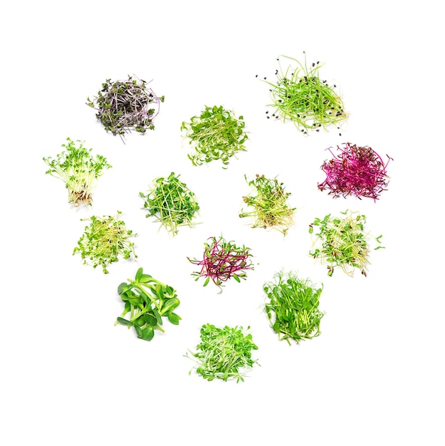 Collage de diferentes microgreens sobre un fondo blanco. Enfoque selectivo. Corazón.