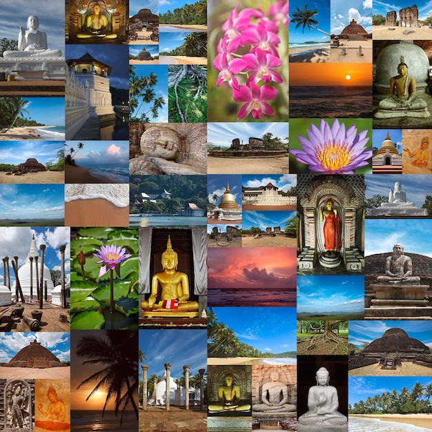 Collage von Bildern aus Sri Lanka
