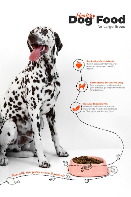 Collage von Hundefutter mit Grafiken