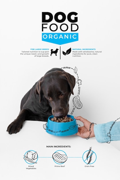 Collage von Hundefutter mit Grafiken