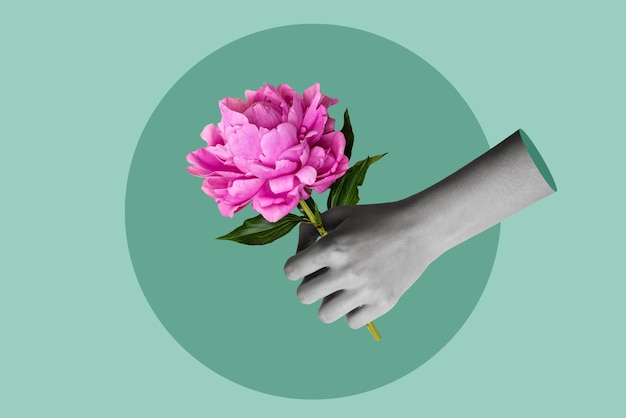 Collage weiblicher Hand, die eine rosa Pioene auf grünem Hintergrund hält