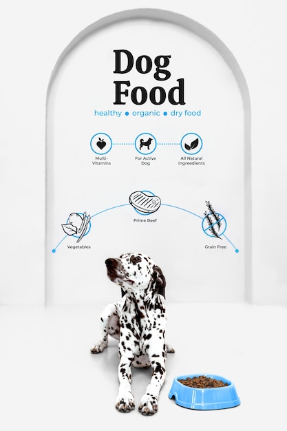 Collaje de alimentos para perros con gráficos