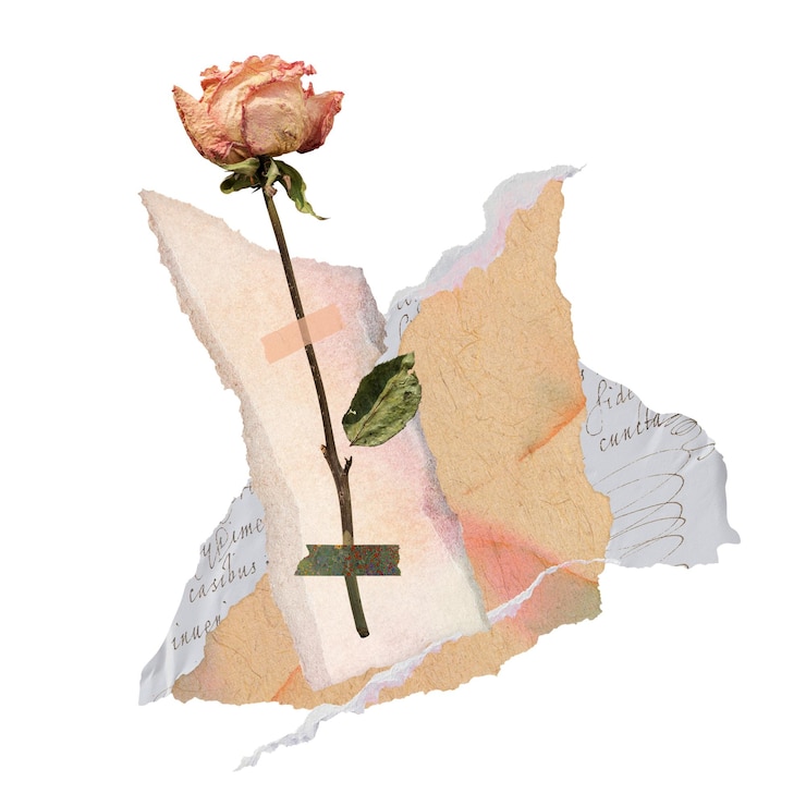 Foto collaje de flores png de rosas secas estética de otoño en diseño vintage sobre fondo transparente