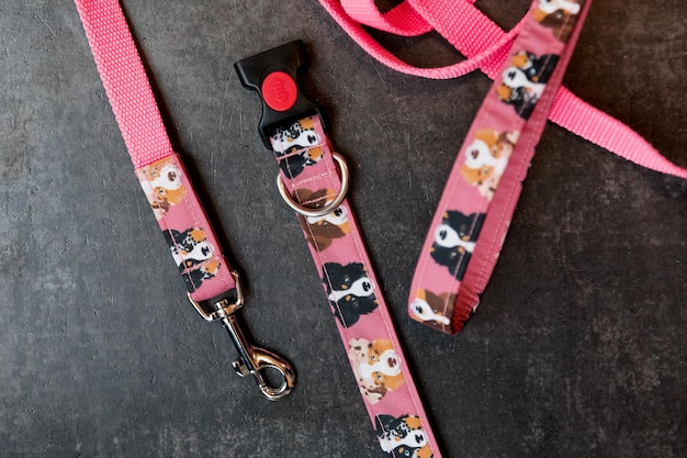 Collar elegante, brillante y cómodo de la tienda de mascotas para perros, gatos u otras mascotas obedientes y domésticos.