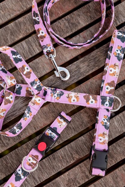 Collar elegante, brillante y cómodo de la tienda de mascotas para perros, gatos u otras mascotas obedientes y domésticos.