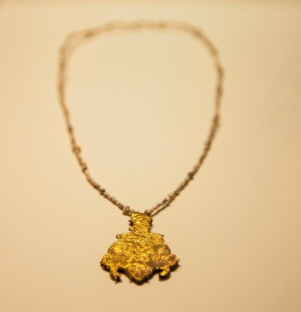 Un collar de oro con una tortuga en él.