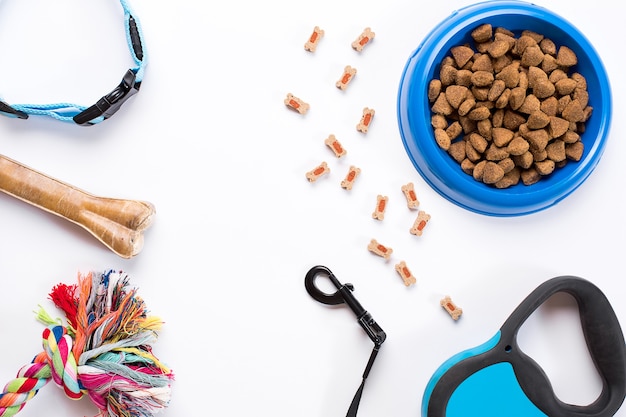 Collar tazón azul con correa de alimentación y delicadeza para perros aislado sobre fondo blanco.