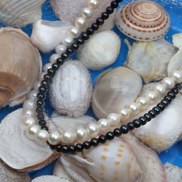 Foto collares de perlas blancas y negras sobre fondo de concha marina. fotografía de cerca