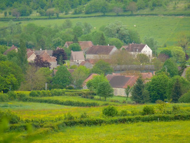 Collonges en charolaissaone et loirefrance