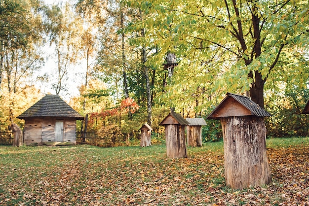 Colmenas de madera de troncos en otoño en el jardín del pueblo.