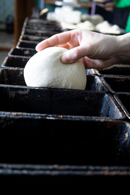 Colocando a massa nos moldes para o pão futuro