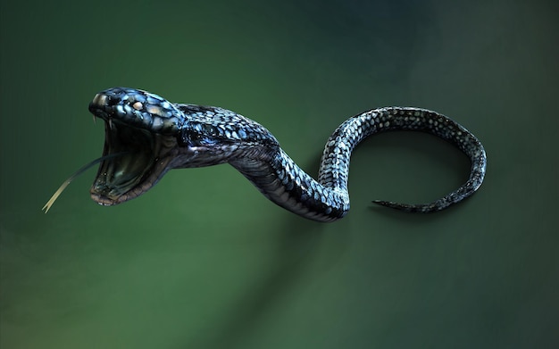 Color azul de King Cobra The World039s Serpiente venenosa más larga aislada sobre fondo verde