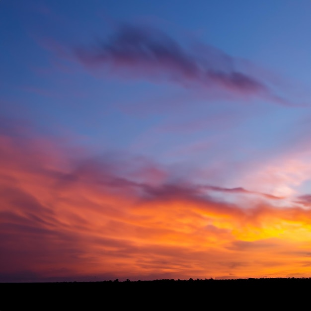 El color del cielo de la noche