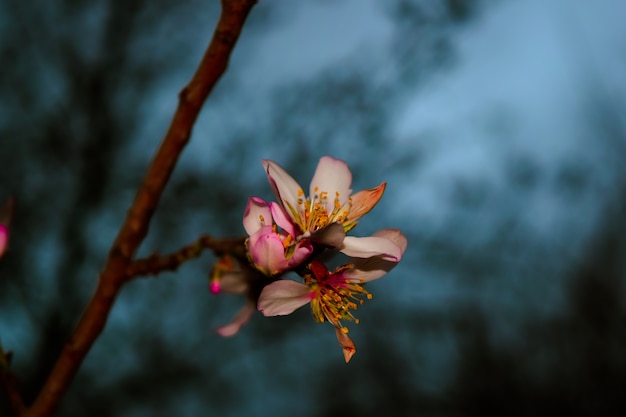 Foto color de la naturaleza