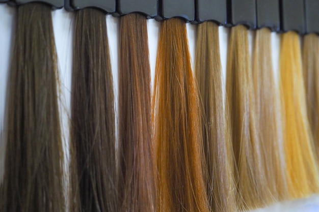 Color de tintes para el cabello