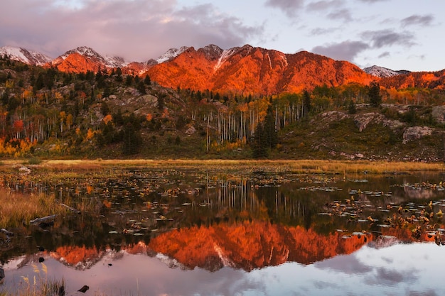 Colorado