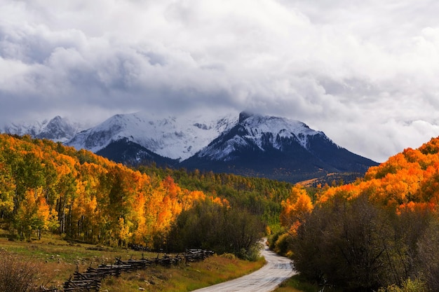 Colorado