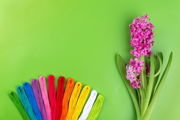 Colores del arco iris del bordado Seda en un fondo verde con la flor rosada de la primavera. Concepto de costura y bordado. Vista superior. Copia espacio