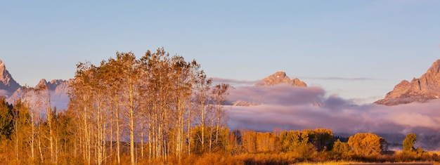 Los colores brillantes de la temporada de otoño en el Parque Nacional Grand Teton, Wyoming, EE.