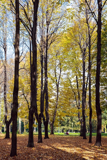 Colores otoñales en Parco di Monza