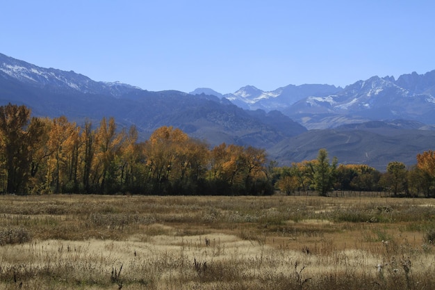 Colores de otoño en junio lago y sierras orientales de California