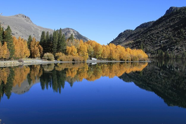 Colores de otoño en junio lago y sierras orientales de California