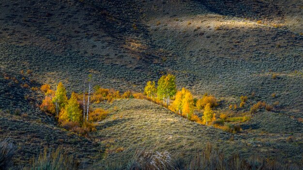 Colores de otoño en Wyoming