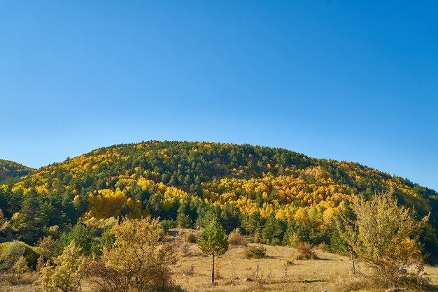 Colores de otoño