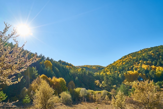 Colores de otoño