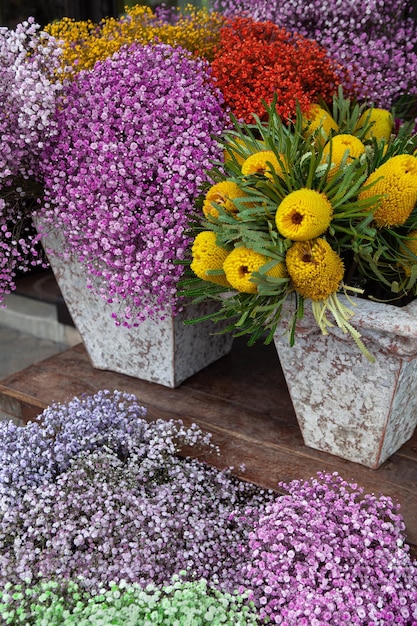 Colores en el puesto de floristería en el mercado