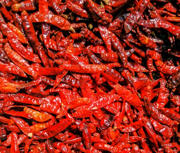 colorfull red chilli