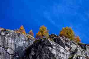 Foto colori autunnali con sfondo blu colores de otoño con fondo azul