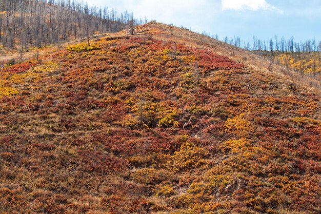 La colorida belleza del otoño en las montañas.