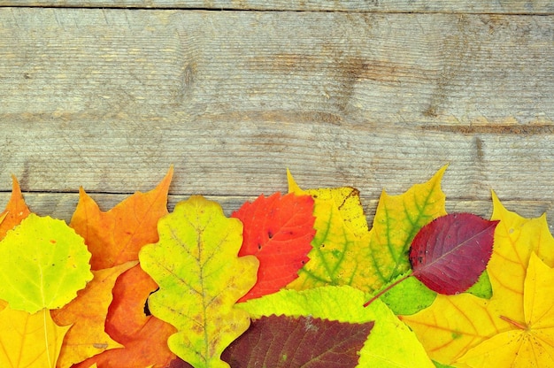 Una colorida hoja de otoño sobre un fondo de madera