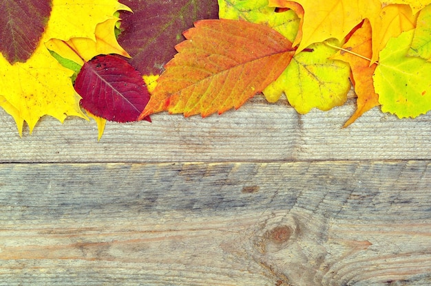 Una colorida hoja de otoño sobre un fondo de madera