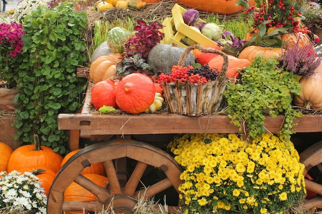 Coloridas calabazas orgánicas y calabazas en feria agrícola. Cosecha del concepto de tiempo de otoño. Jardín f