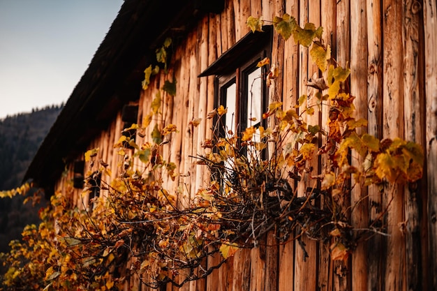 Coloridas casas antiguas de madera en Vlkolinec patrimonio de la Unesco pueblo de montaña con una arquitectura popular Vlkolinec ruzomberok liptov eslovaquia