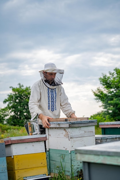 Coloridas colmenas de abejas en un prado en verano. Colmenas en un colmenar con abejas volando hacia las plataformas de aterrizaje. Apicultura. Hombre trabajando en colmenar.