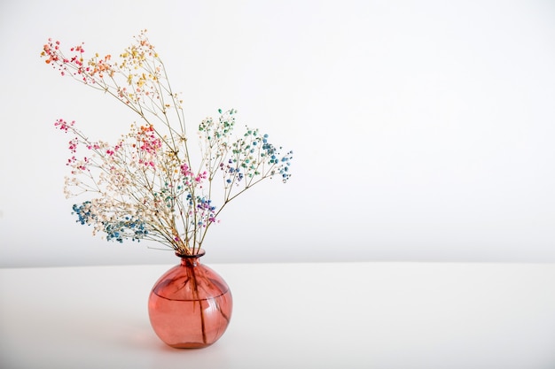 Coloridas flores de Gypsophila en florero rosa sobre fondo blanco con espacio de copia. Floreciente ramo de flores secas delante de la pared blanca.