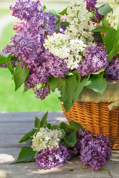 Coloridas flores lilas en canasta