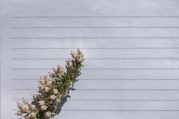 Coloridas flores de primavera en un cuaderno