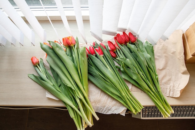 Coloridas flores de tulipán frescas en el alféizar de la ventana cerca de las persianas