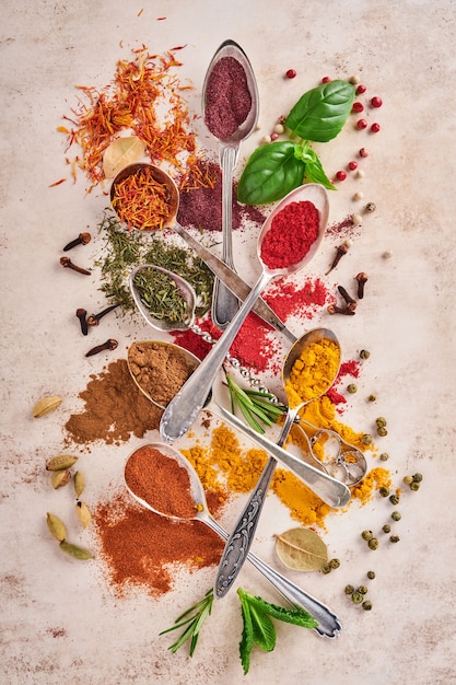 Foto coloridas hierbas y especias para cocinar: cúrcuma, eneldo, pimentón, canela, azafrán, albahaca y romero en una cuchara.