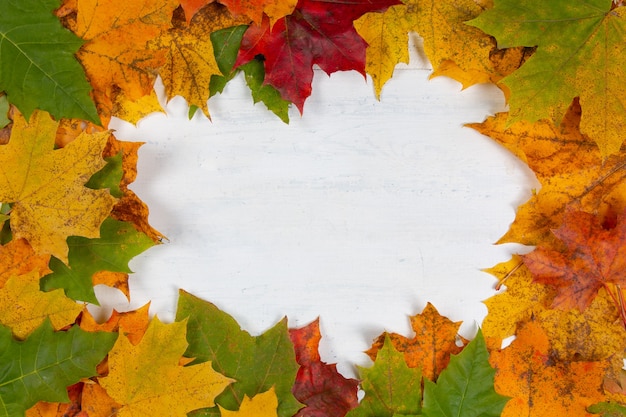 Coloridas hojas de arce otoñal. Frontera con hojas de otoño con espacio de copia.