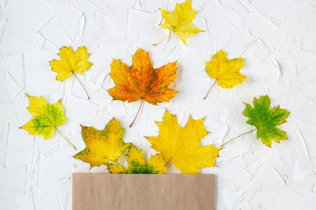 Coloridas hojas de otoño en una bolsa artesanal marrón sobre fondo blanco para empapar, venta. Vista superior