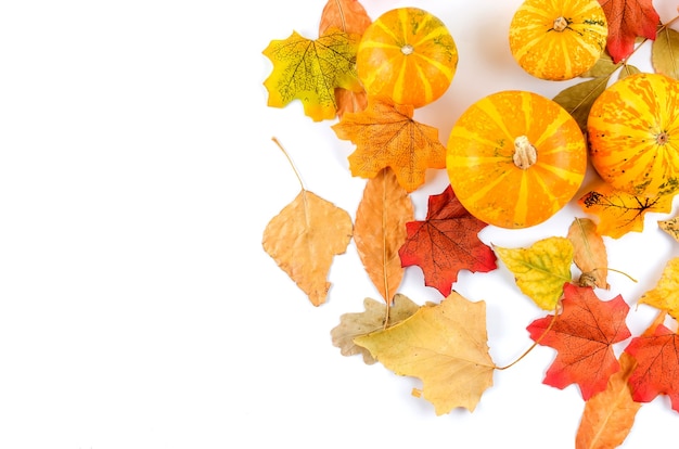 Coloridas hojas de otoño y calabaza en blanco